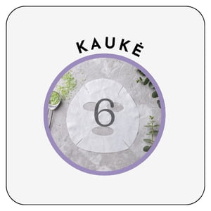 veido kaukės japoniška kosmetika